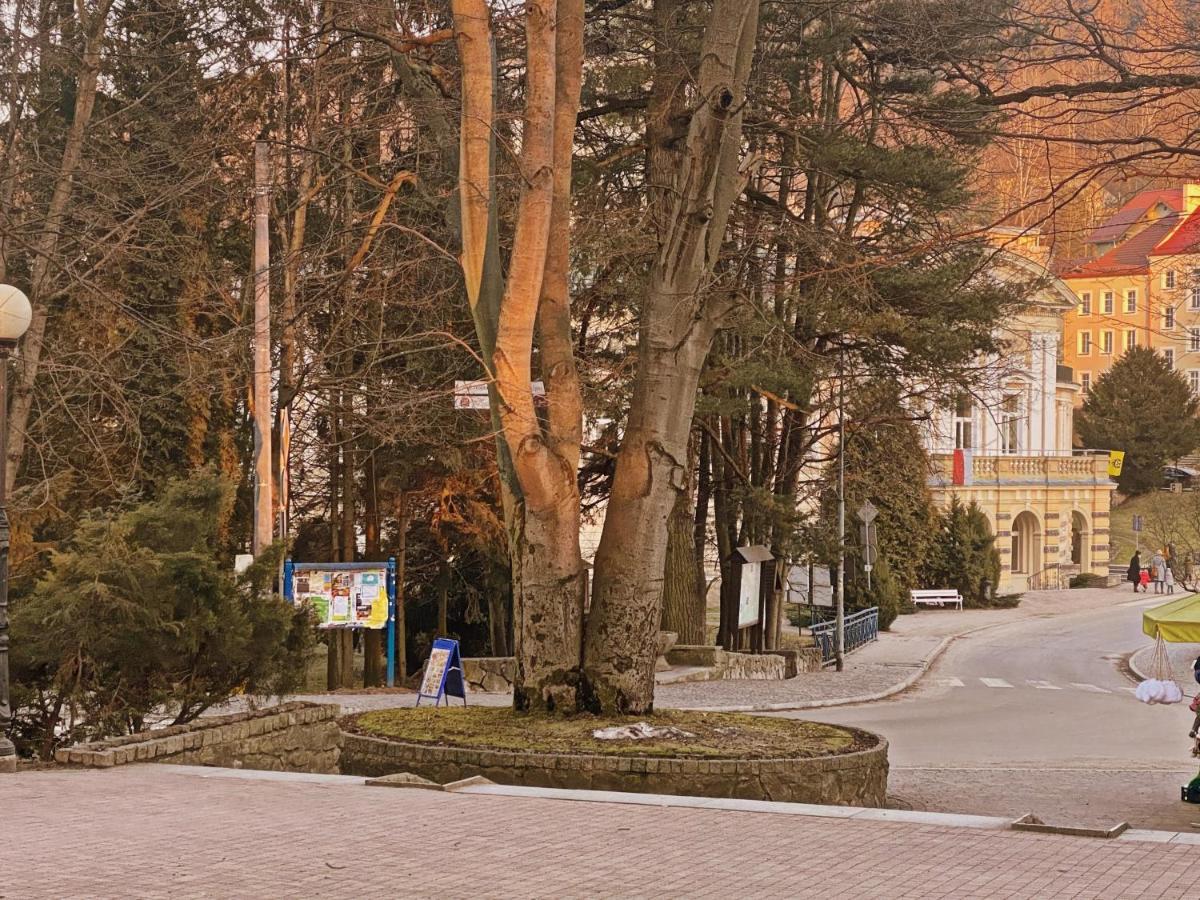 Apartament Zdroj Ladek Екстер'єр фото